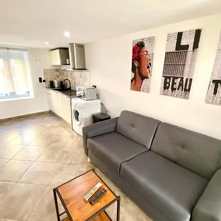 Sobnb- Faucigny 4-studio 4 Personnes Centre Ville * Annemasse